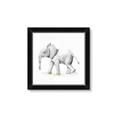 Picture of Jungle Elephant _GroupedProduct_Square_Mini_ _GroupedProduct_Square_Framed_Matted_