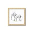 Picture of Jungle Elephant _GroupedProduct_Square_Mini_ _GroupedProduct_Square_Framed_Matted_