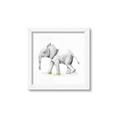 Picture of Jungle Elephant _GroupedProduct_Square_Mini_ _GroupedProduct_Square_Framed_Matted_