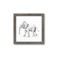 Picture of Jungle Elephant _GroupedProduct_Square_Mini_ _GroupedProduct_Square_Framed_Matted_