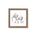 Picture of Jungle Elephant _GroupedProduct_Square_Mini_ _GroupedProduct_Square_Framed_Matted_