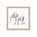 Picture of Jungle Elephant _GroupedProduct_Square_Mini_ _GroupedProduct_Square_Framed_Matted_