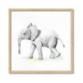 Picture of Jungle Elephant _GroupedProduct_Square_Mini_ _GroupedProduct_Square_Framed_Matted_