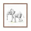 Picture of Jungle Elephant _GroupedProduct_Square_Mini_ _GroupedProduct_Square_Framed_Matted_