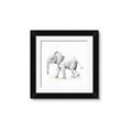 Picture of Jungle Elephant _GroupedProduct_Square_Mini_ _GroupedProduct_Square_Framed_Matted_