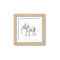 Picture of Jungle Elephant _GroupedProduct_Square_Mini_ _GroupedProduct_Square_Framed_Matted_