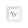 Picture of Jungle Elephant _GroupedProduct_Square_Mini_ _GroupedProduct_Square_Framed_Matted_