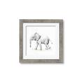 Picture of Jungle Elephant _GroupedProduct_Square_Mini_ _GroupedProduct_Square_Framed_Matted_
