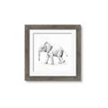 Picture of Jungle Elephant _GroupedProduct_Square_Mini_ _GroupedProduct_Square_Framed_Matted_