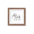 Picture of Jungle Elephant _GroupedProduct_Square_Mini_ _GroupedProduct_Square_Framed_Matted_