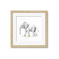 Picture of Jungle Elephant _GroupedProduct_Square_Mini_ _GroupedProduct_Square_Framed_Matted_