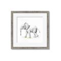 Picture of Jungle Elephant _GroupedProduct_Square_Mini_ _GroupedProduct_Square_Framed_Matted_