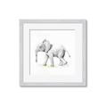 Picture of Jungle Elephant _GroupedProduct_Square_Mini_ _GroupedProduct_Square_Framed_Matted_