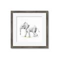 Picture of Jungle Elephant _GroupedProduct_Square_Mini_ _GroupedProduct_Square_Framed_Matted_