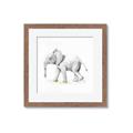 Picture of Jungle Elephant _GroupedProduct_Square_Mini_ _GroupedProduct_Square_Framed_Matted_