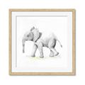 Picture of Jungle Elephant _GroupedProduct_Square_Mini_ _GroupedProduct_Square_Framed_Matted_