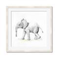 Picture of Jungle Elephant _GroupedProduct_Square_Mini_ _GroupedProduct_Square_Framed_Matted_