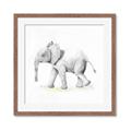 Picture of Jungle Elephant _GroupedProduct_Square_Mini_ _GroupedProduct_Square_Framed_Matted_