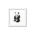 Picture of Jungle Panda _GroupedProduct_Square_Mini_ _GroupedProduct_Square_Framed_Matted_