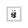 Picture of Jungle Panda _GroupedProduct_Square_Mini_ _GroupedProduct_Square_Framed_Matted_