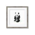 Picture of Jungle Panda _GroupedProduct_Square_Mini_ _GroupedProduct_Square_Framed_Matted_