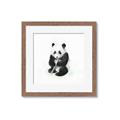 Picture of Jungle Panda _GroupedProduct_Square_Mini_ _GroupedProduct_Square_Framed_Matted_