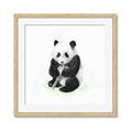 Picture of Jungle Panda _GroupedProduct_Square_Mini_ _GroupedProduct_Square_Framed_Matted_