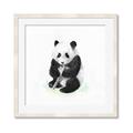 Picture of Jungle Panda _GroupedProduct_Square_Mini_ _GroupedProduct_Square_Framed_Matted_