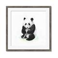 Picture of Jungle Panda _GroupedProduct_Square_Mini_ _GroupedProduct_Square_Framed_Matted_