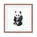 Picture of Jungle Panda _GroupedProduct_Square_Mini_ _GroupedProduct_Square_Framed_Matted_