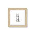Picture of Jungle Cat _GroupedProduct_Square_Mini_ _GroupedProduct_Square_Framed_Matted_