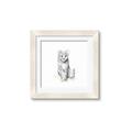 Picture of Jungle Cat _GroupedProduct_Square_Mini_ _GroupedProduct_Square_Framed_Matted_
