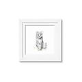 Picture of Jungle Cat _GroupedProduct_Square_Mini_ _GroupedProduct_Square_Framed_Matted_