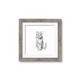 Picture of Jungle Cat _GroupedProduct_Square_Mini_ _GroupedProduct_Square_Framed_Matted_