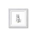Picture of Jungle Cat _GroupedProduct_Square_Mini_ _GroupedProduct_Square_Framed_Matted_