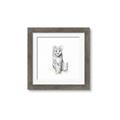 Picture of Jungle Cat _GroupedProduct_Square_Mini_ _GroupedProduct_Square_Framed_Matted_