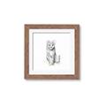 Picture of Jungle Cat _GroupedProduct_Square_Mini_ _GroupedProduct_Square_Framed_Matted_