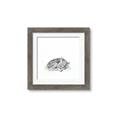 Picture of Jungle Doe _GroupedProduct_Square_Mini_ _GroupedProduct_Square_Framed_Matted_