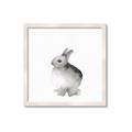 Picture of Bunny II-M _GroupedProduct_Square_Mini_ _GroupedProduct_Square_Framed_Matted_