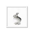 Picture of Bunny II-M _GroupedProduct_Square_Mini_ _GroupedProduct_Square_Framed_Matted_