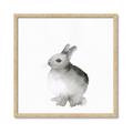 Picture of Bunny II-M _GroupedProduct_Square_Mini_ _GroupedProduct_Square_Framed_Matted_