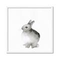Picture of Bunny II-M _GroupedProduct_Square_Mini_ _GroupedProduct_Square_Framed_Matted_
