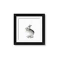 Picture of Bunny II-M _GroupedProduct_Square_Mini_ _GroupedProduct_Square_Framed_Matted_