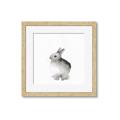 Picture of Bunny II-M _GroupedProduct_Square_Mini_ _GroupedProduct_Square_Framed_Matted_