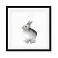 Picture of Bunny II-M _GroupedProduct_Square_Mini_ _GroupedProduct_Square_Framed_Matted_