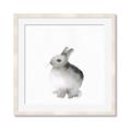 Picture of Bunny II-M _GroupedProduct_Square_Mini_ _GroupedProduct_Square_Framed_Matted_