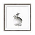 Picture of Bunny II-M _GroupedProduct_Square_Mini_ _GroupedProduct_Square_Framed_Matted_