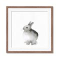 Picture of Bunny II-M _GroupedProduct_Square_Mini_ _GroupedProduct_Square_Framed_Matted_