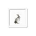 Picture of Bunny I-M _GroupedProduct_Square_Mini_ _GroupedProduct_Square_Framed_Matted_