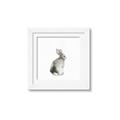 Picture of Bunny I-M _GroupedProduct_Square_Mini_ _GroupedProduct_Square_Framed_Matted_